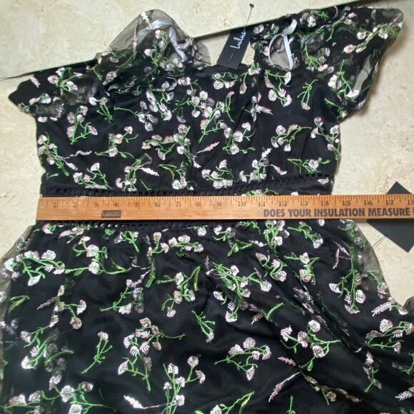 Lulus Floral Embroidered Black Mini Dress Sheer Whimsygoth Witchy Prom Wedding - Picture 8 of 11